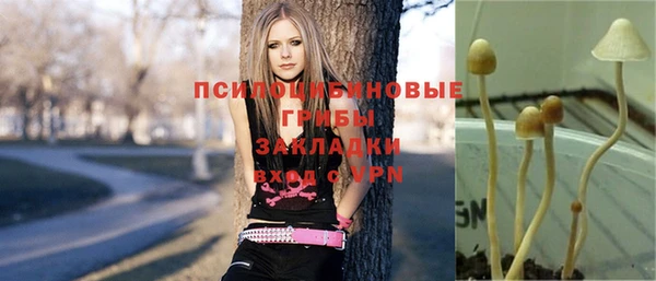 СК Арсеньев