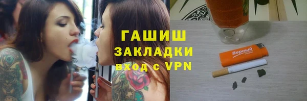 шишки Аркадак