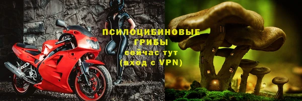 шишки Аркадак