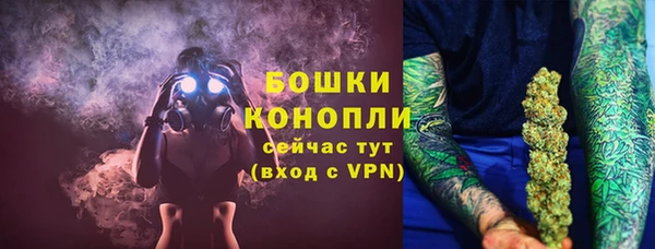 шишки Аркадак