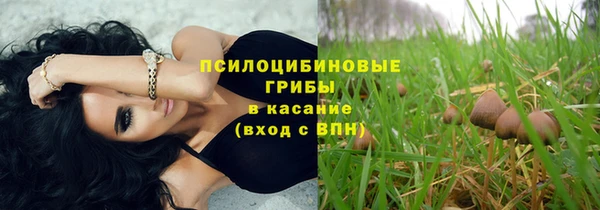 каннабис Алзамай